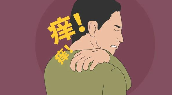 屏幕截图 2023-12-06 152025